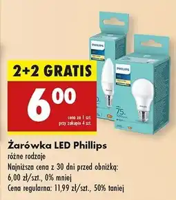 Biedronka Reflektor 60w e14 Philips oferta