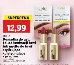 Lidl Żel do laminacji brwi 3.0 Delia Cosmetics oferta