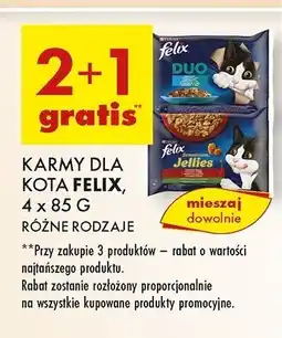 Biedronka Karma dla kota wiejskie smaki w galaretce Purina Felix Sensations Jellies oferta