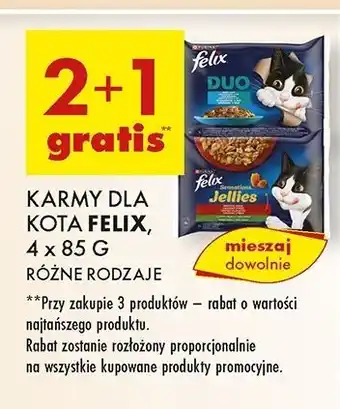 Biedronka Karma dla kota wiejskie smaki w galaretce Purina Felix Sensations Jellies oferta