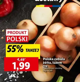 Lidl Cebula żółta polska oferta