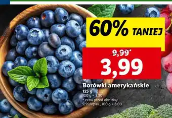 Lidl Borówka amerykańska oferta