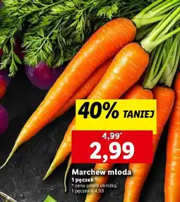 Lidl Marchewka młoda oferta