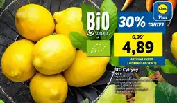 Lidl Cytryny bio oferta