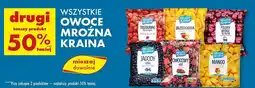 Biedronka Brzoskwinia Mroźna Kraina oferta