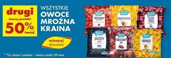 Biedronka Brzoskwinia Mroźna Kraina oferta