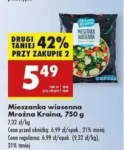 Biedronka Mieszanka wiosenna Mroźna Kraina oferta