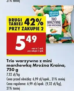 Biedronka Trio warzywne Mroźna Kraina oferta