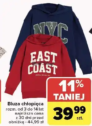 Carrefour Bluza chłopięca 3-14 lat oferta