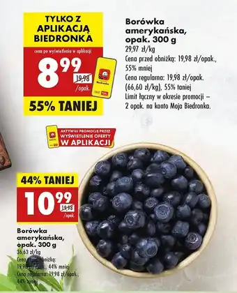 Biedronka Borówki amerykańskie oferta