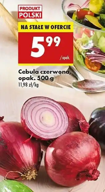 Biedronka Cebula czerwona oferta