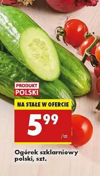 Biedronka Ogórek szklarniowy oferta