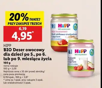 Lidl Musli jabłkowo-jagodowe z jogurtem Hipp moje śniadanko oferta