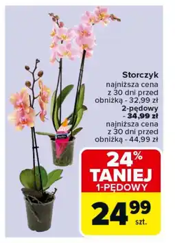 Carrefour Storczyk oferta