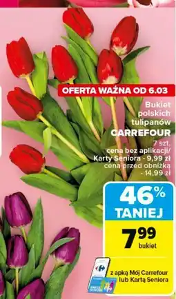 Carrefour Tulipany polskie oferta