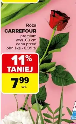 Carrefour Róża premium 60 cm Carrefour oferta