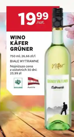 Stokrotka Wino oferta