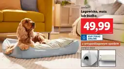 Lidl Legowisko Zoofari oferta