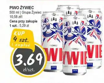 Słoneczko Piwo żywiec grupa żywiec oferta