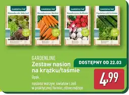 ALDI Nasiona warzyw Gardenline oferta