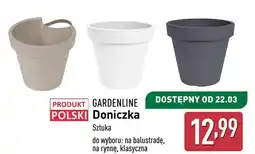 ALDI Doniczka Gardenline oferta