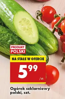 Biedronka Ogórek Polski oferta