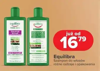 Drogeria Dr.Max Equilibra Szampon do włosów oferta