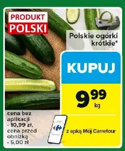 Carrefour Express Ogórki krótkie polska oferta