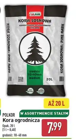 ALDI Kora sosnowa Polkor oferta