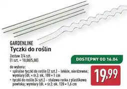 ALDI Tyczki do pomidorów Gardenline oferta