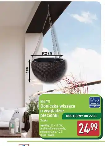 ALDI Doniczka wisząca 26 x 16 cm Belavi oferta