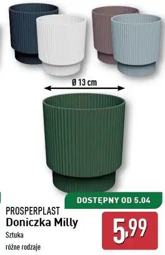 ALDI Doniczka milly round 13 cm Prosperplast oferta