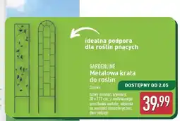 ALDI Metalowa krata do roślin 30 x 172 cm Gardenline oferta