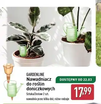 ALDI Nawadniacz do roślin doniczkowych Gardenline oferta