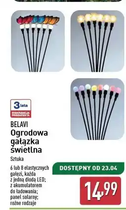 ALDI Gałązki świetlne led Belavi oferta