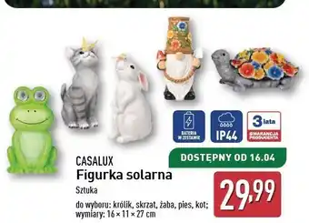 ALDI Figurka solarna kot Casalux oferta