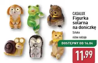 ALDI Figurka solarna na doniczkę Casalux oferta