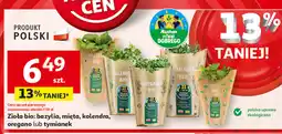 Auchan Tymianek bio Auchan Pewni Dobrego oferta