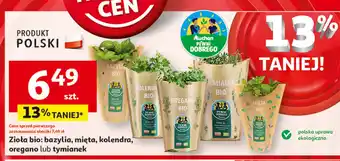 Auchan Tymianek bio Auchan Pewni Dobrego oferta