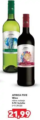 Kaufland Wino Africa Five oferta