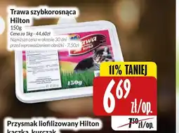 Hala Wola Trawa dla kota Hilton oferta