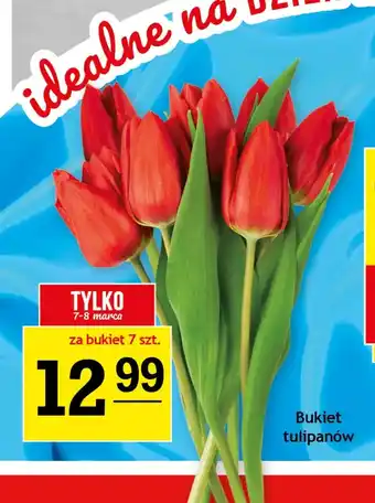 Gram Market Bukiet tulipanów oferta