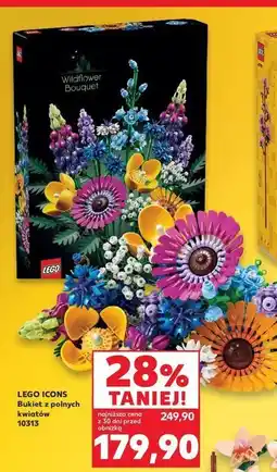 Kaufland Klocki 10313 Lego oferta