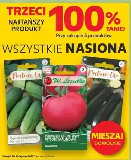 Kaufland Pomidor gruntowy wysoki malinowy W. Legutko oferta