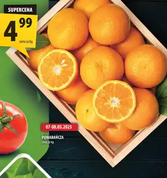 Arhelan Pomarańcza oferta