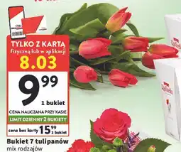 Intermarche Tulipany oferta