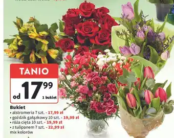 Intermarche Tulipan oferta