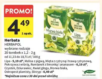 Intermarche Herbatka skrzyp Herbapol Zielnik Polski oferta