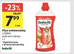 Intermarche Płyn uniwersalny kwiaty orchidei z nutą frezji Ludwik oferta