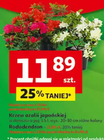 Auchan Azalia S! oferta